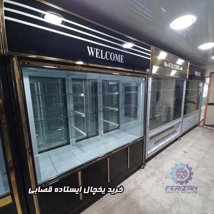 خرید یخچال ایستاده قصابی