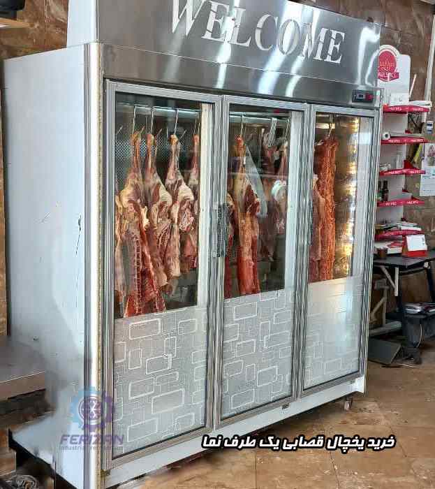 خرید یخچال قصابی یک طرف نما